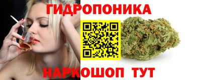 гидропоника Будённовск