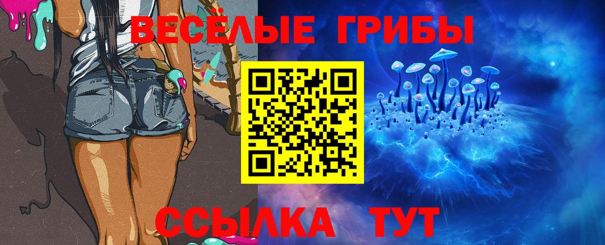 Псилоцибиновые грибы Psilocybe Ставрополь