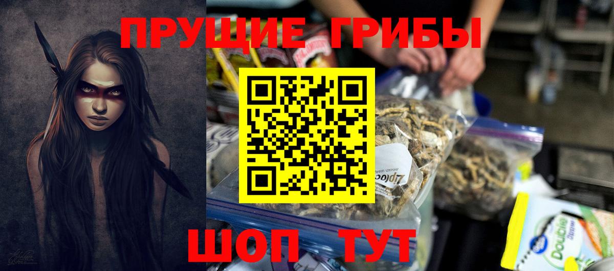 Псилоцибиновые грибы прущие грибы  Псилоцибиновые грибы Psilocybine cubensis  Вход с VPN  Ставрополь 